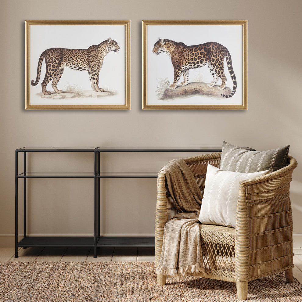Madison Park The Duel Cheetah Framed Graphic Wall Decor 2 Piece set, Multi