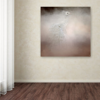 Jai Johnson 'Peacock 6' Canvas Art, 14 x 14