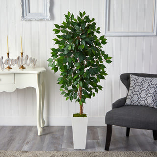 Lifestyle image showing ficus tree in a home interior with furniture and decor.
