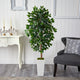 4.5' Ficus Artificial Tree, White Planter