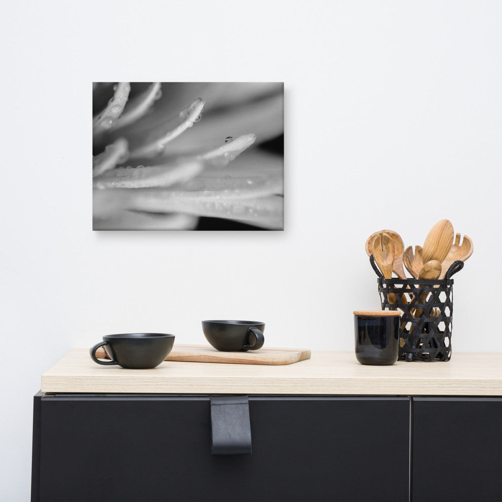 Droplets on Petals Floral Nature Photography Canvas Wall Art Print, 12" X 16"