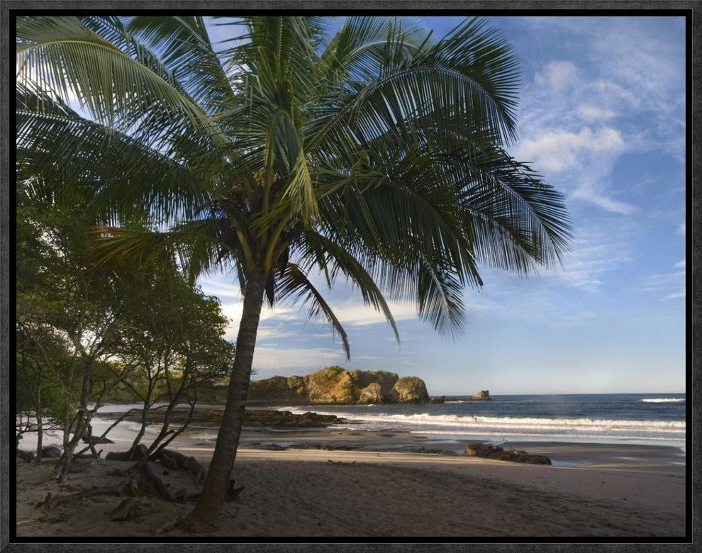 "Palm trees line Pelada Beach, Costa Rica"  by Tim Fitzharris, 17x13"