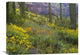 "Saguaro Amid Flowering Lupine, Organ Pipe Cactus National Monument, AZ" Artwork