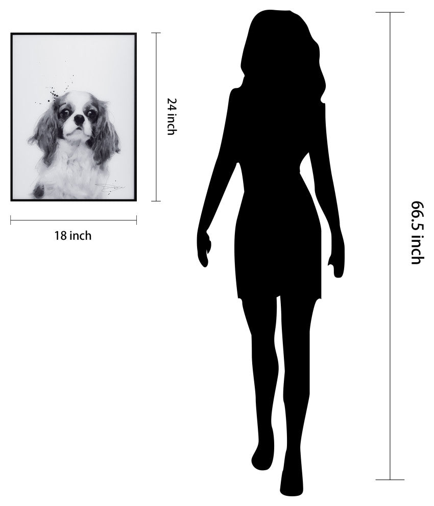 "King Charles Spaniel" Black and White Pet Art on Glass with Anodized Frame