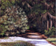 William Aiken Walker Forest Scene Wall Decal