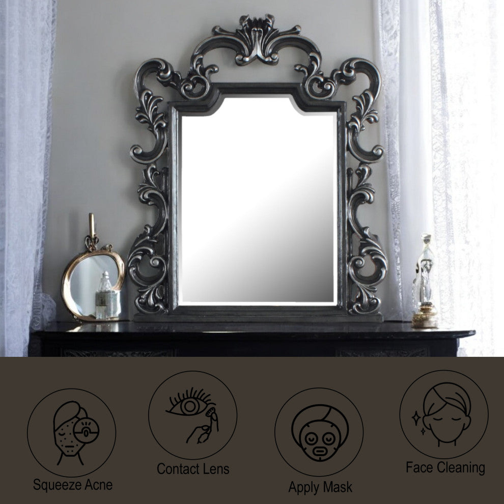 ACME House Delphine Mirror, Charcoal Finish