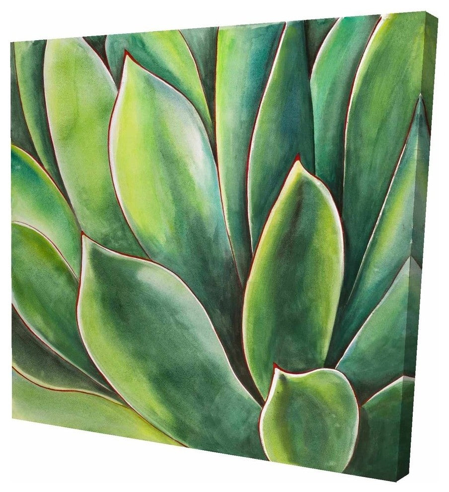 Watercolor Agave Plant, Fine Art Gallery Wrapped Canvas, 24"x24"