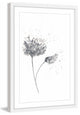Marmont Hill, "Black and White Peony" by Thimble Sparrow Framed Painting, 30x45