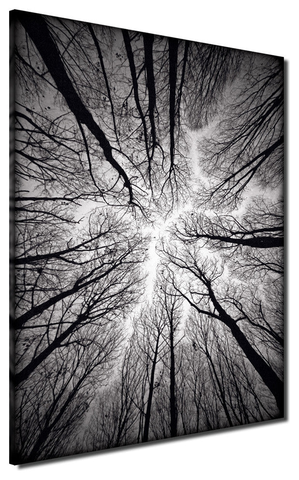 Indoor/Outdoor Wall Decor 'Ceiling' in ArtPlexi, 30"x20"