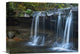 "Cayuga Falls, Ricketts Glen State Park, Pennsylvania" Artwork, 16" x 12"