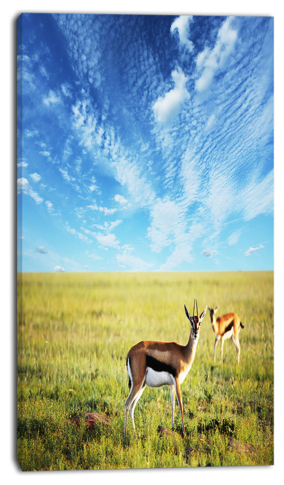 Antelopes Wandering under Bright Sky, African Canvas Art Print, 16"x32"