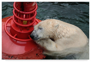 Antje Wenner Braun 'My Buoy' Canvas Art, 24"x16"