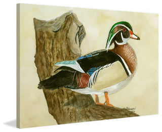 "Woodduck" Painting Print on Wrapped Canvas, 30"x20"