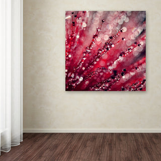 Beata Czyzowska Young 'Red Melody' Canvas Art, 18"x18"