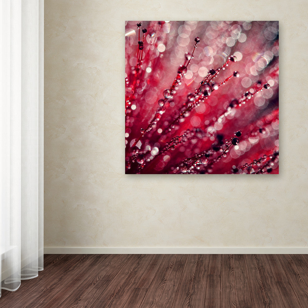 Beata Czyzowska Young 'Red Melody' Canvas Art, 18"x18"