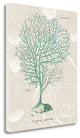 "Gorgonia Granulata On Linen Sea Foam" By Wild Apple, Gallery Wrap Canvas