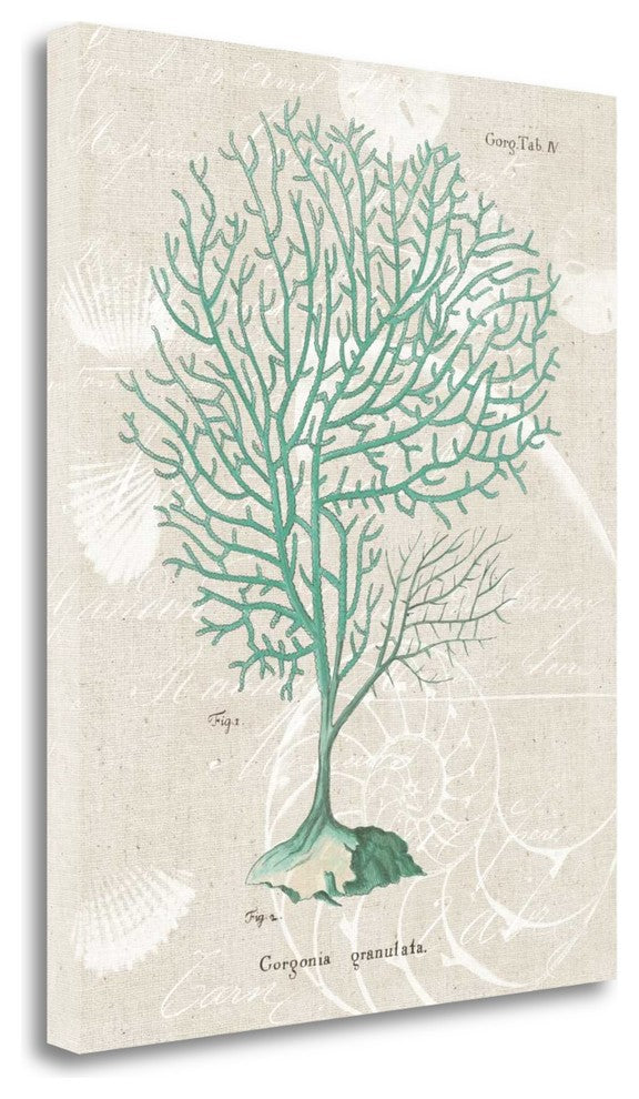 "Gorgonia Granulata On Linen Sea Foam" By Wild Apple, Gallery Wrap Canvas