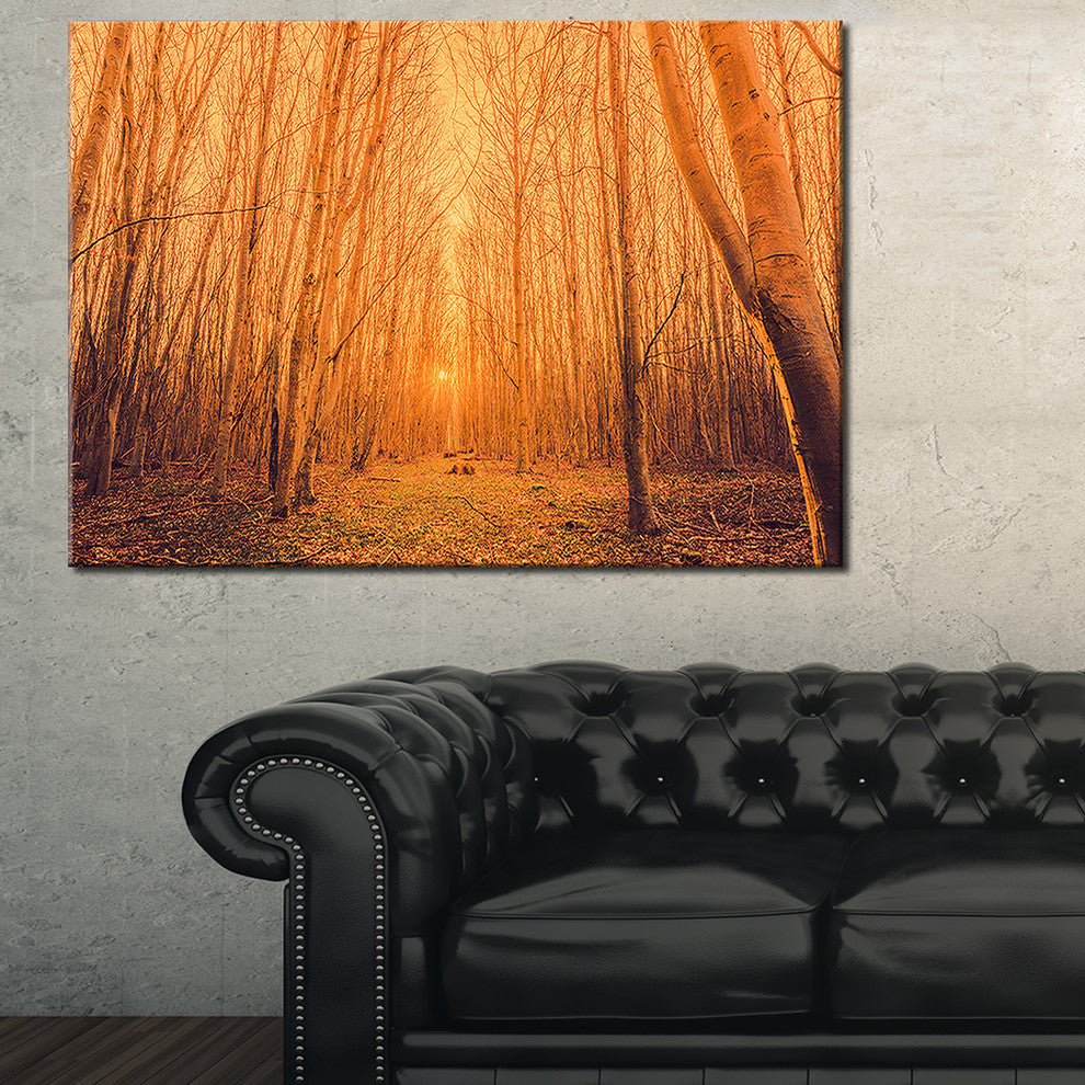 "Sunrise in a Forest With Tall Trees" Landscape Canvas Photo Print, 32"x16"