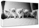 "Five Kittens" by Kim Levin, Print on Canvas, 20"x16"