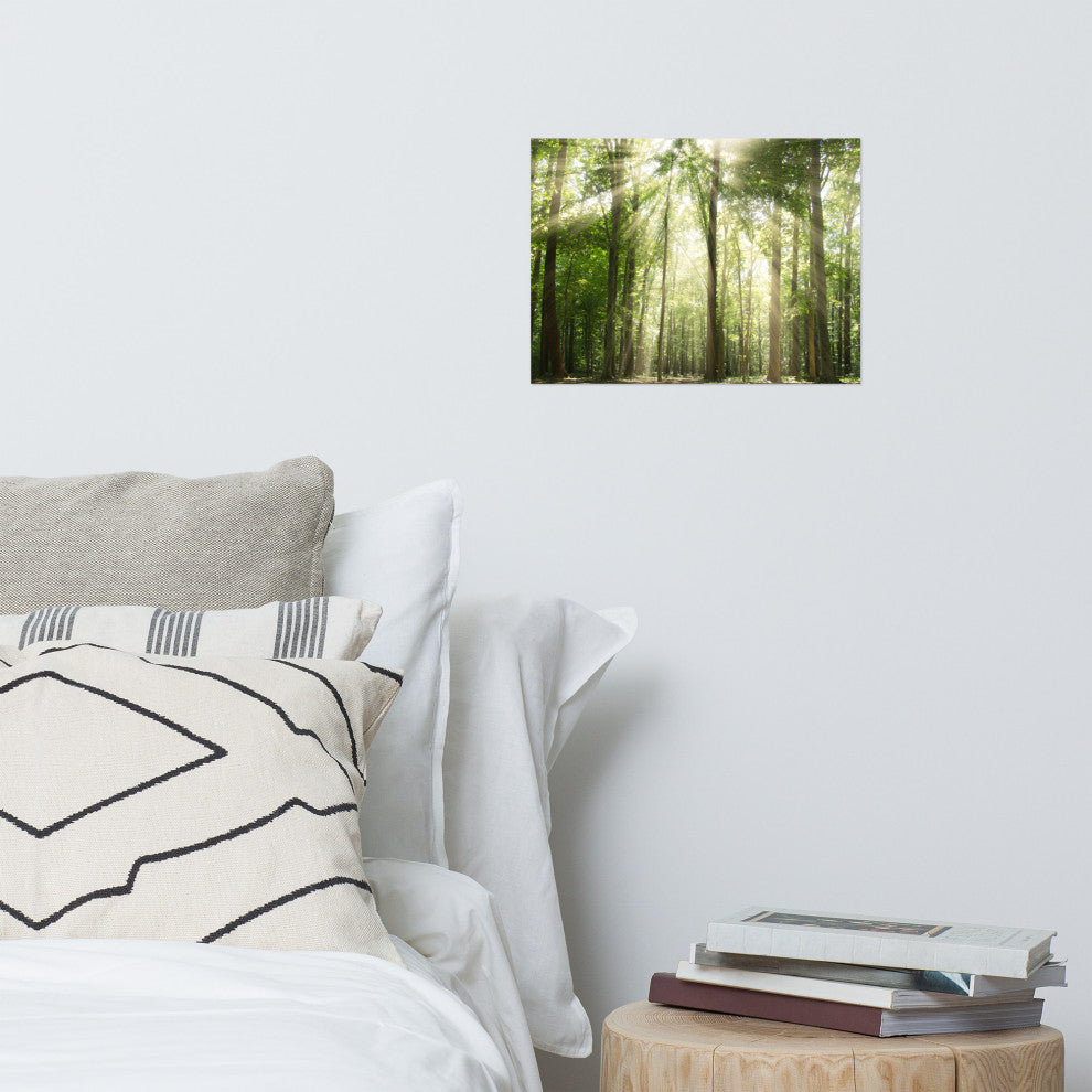 Sun Rays Through Treetops Landscape Photo Unframed Wall Art Print, 12" X 16"