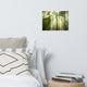 Sun Rays Through Treetops Landscape Photo Unframed Wall Art Print, 12" X 16"