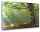 "Lights" By Toni Vila , Giclee Print on Gallery Wrap Canvas, Ready to Hang