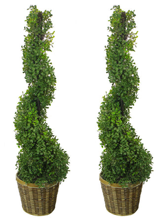 Full product on white background showing the topiary trees in baskets (full view).