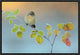 "Winter Colors" Framed Canvas Giclee by Andres Miguel Dominguez, 19x13"