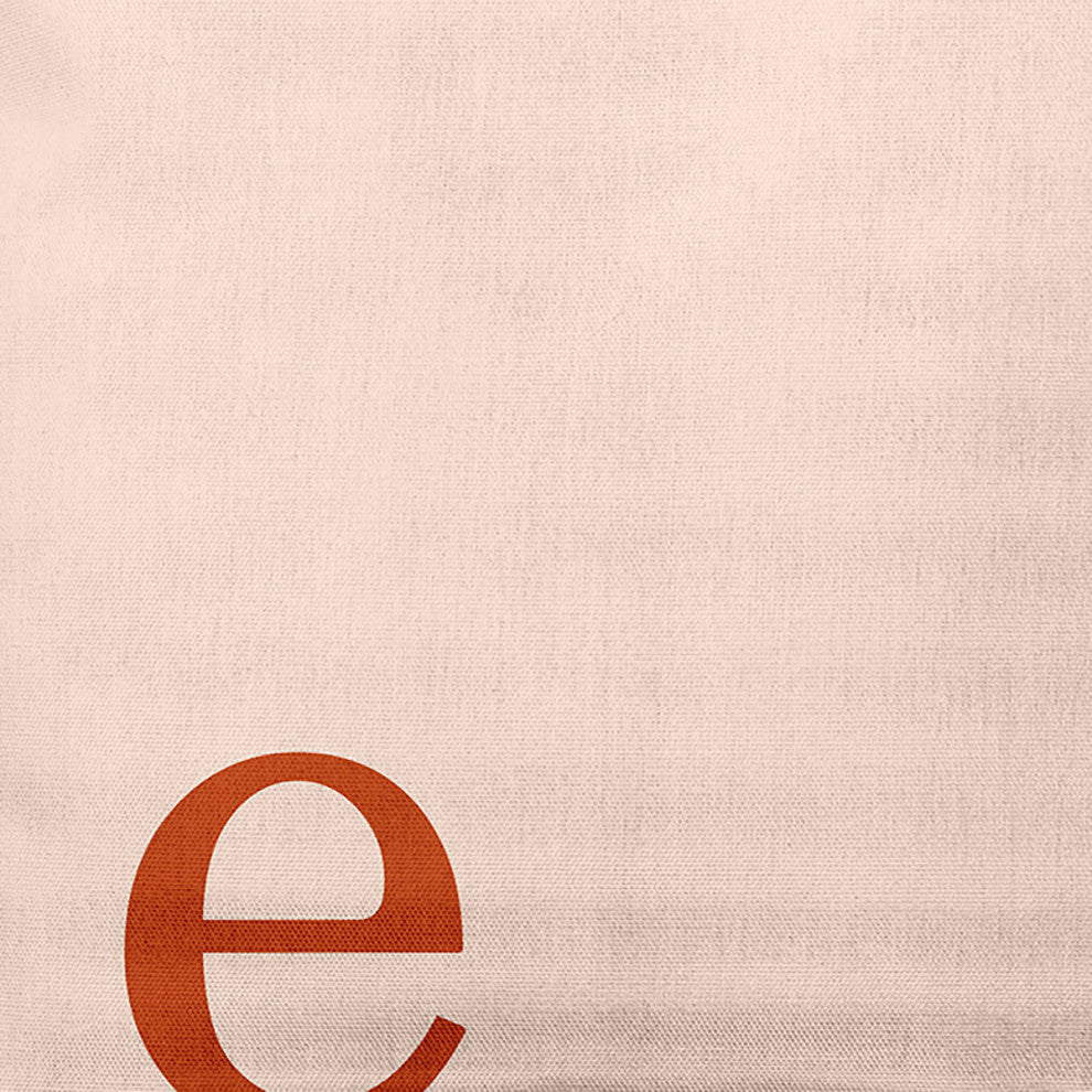 18" x 18" Modern Monogram Indoor/Outdoor Polyester Throw Pillow, Sienna