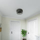 3 Light 13.5" Matte Black Pendant