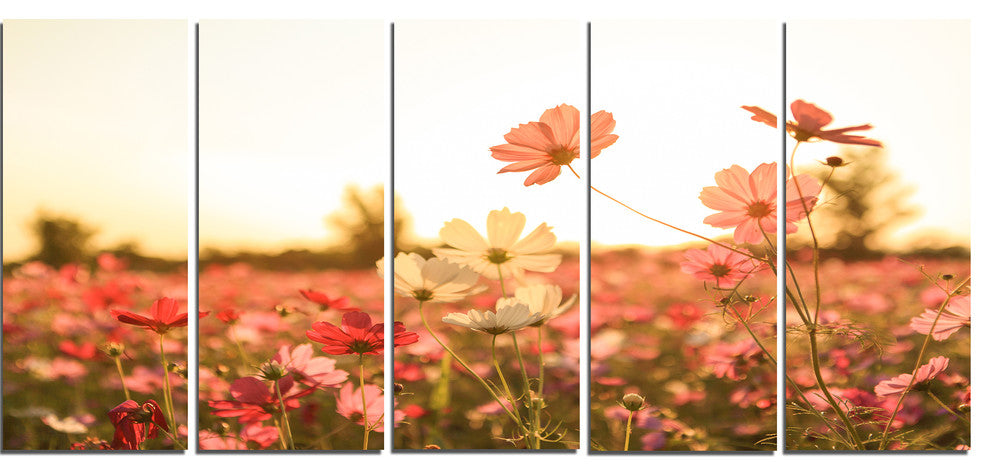 Cosmos Flowers on Sunset Background, Floral Canvas Art Print, 60"x28", 5 Panels