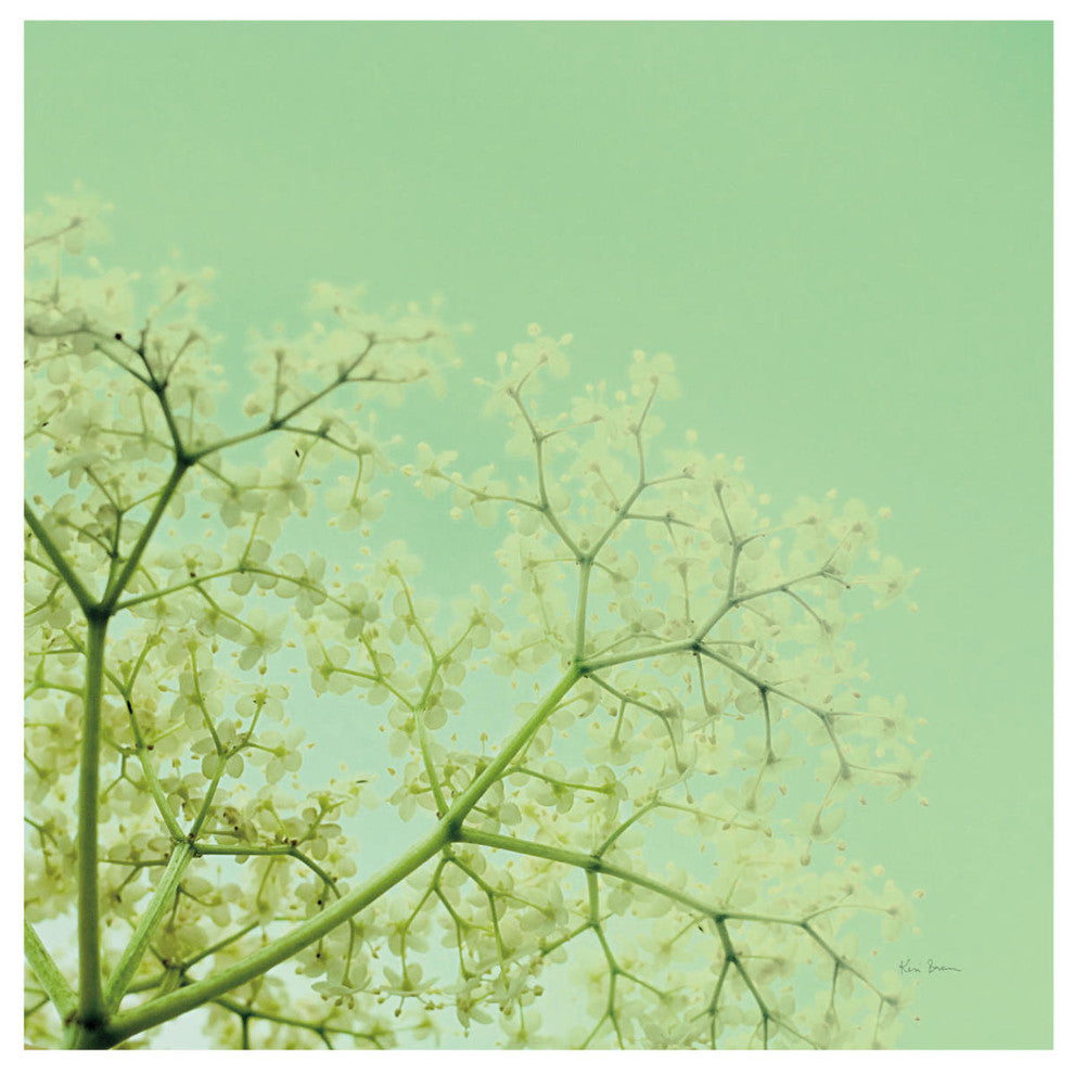 "Cuckoo Flowers" Digital Paper Print by Keri Bevan, 42"x42"