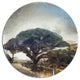 Lonely Oak Tree Watercolor Sketch, Landscape Round Metal Wall Art, 36"