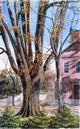Charles De Wolf Brownell Elm East Hartford Connecticut Wall Decal