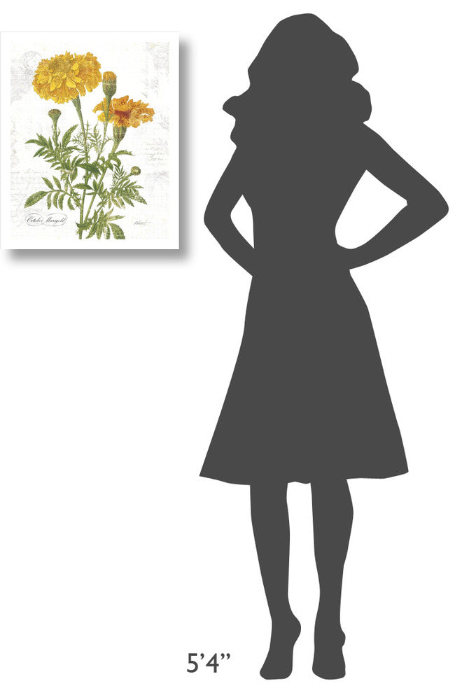 "October Marigold on White" Digital Paper Print by Katie Pertiet, 18"x22"