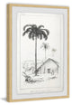 "The Arecaceae" Framed Painting Print, 20"x30"