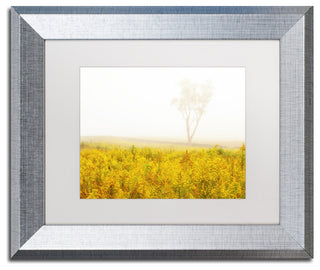 PIPA Fine Art 'Dreams of Goldenrod and Fog' Matted Framed Art, 14x11