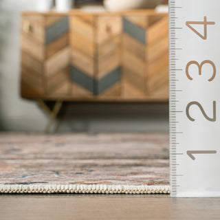 Nuloom Cleora Vintage Floral Machine Washable Area Rug, Taupe 4'x6'