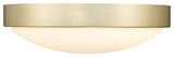 Gabi 10" LED Flush Mount, Brushed Champagne Bronze