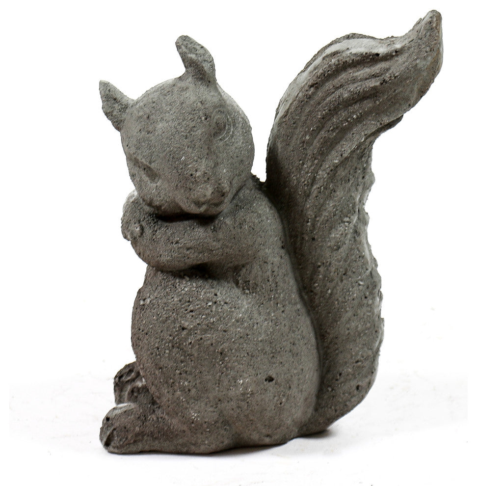 Forest Squirrel