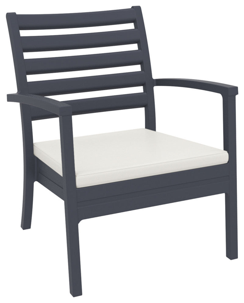 Artemis XL Club Chair, Set of 2, Dark Gray With Acrylic Fabric Natural Cushions
