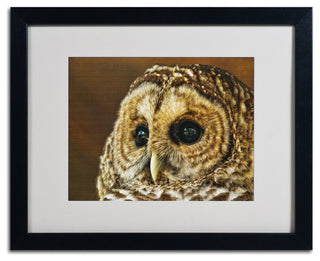 'Barred Owl Portrait' Matted Framed Canvas Art by Lois Bryan