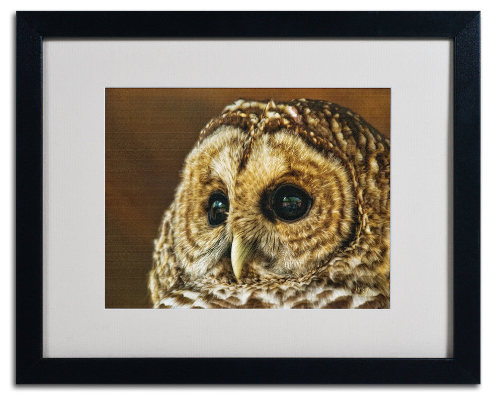 'Barred Owl Portrait' Matted Framed Canvas Art by Lois Bryan