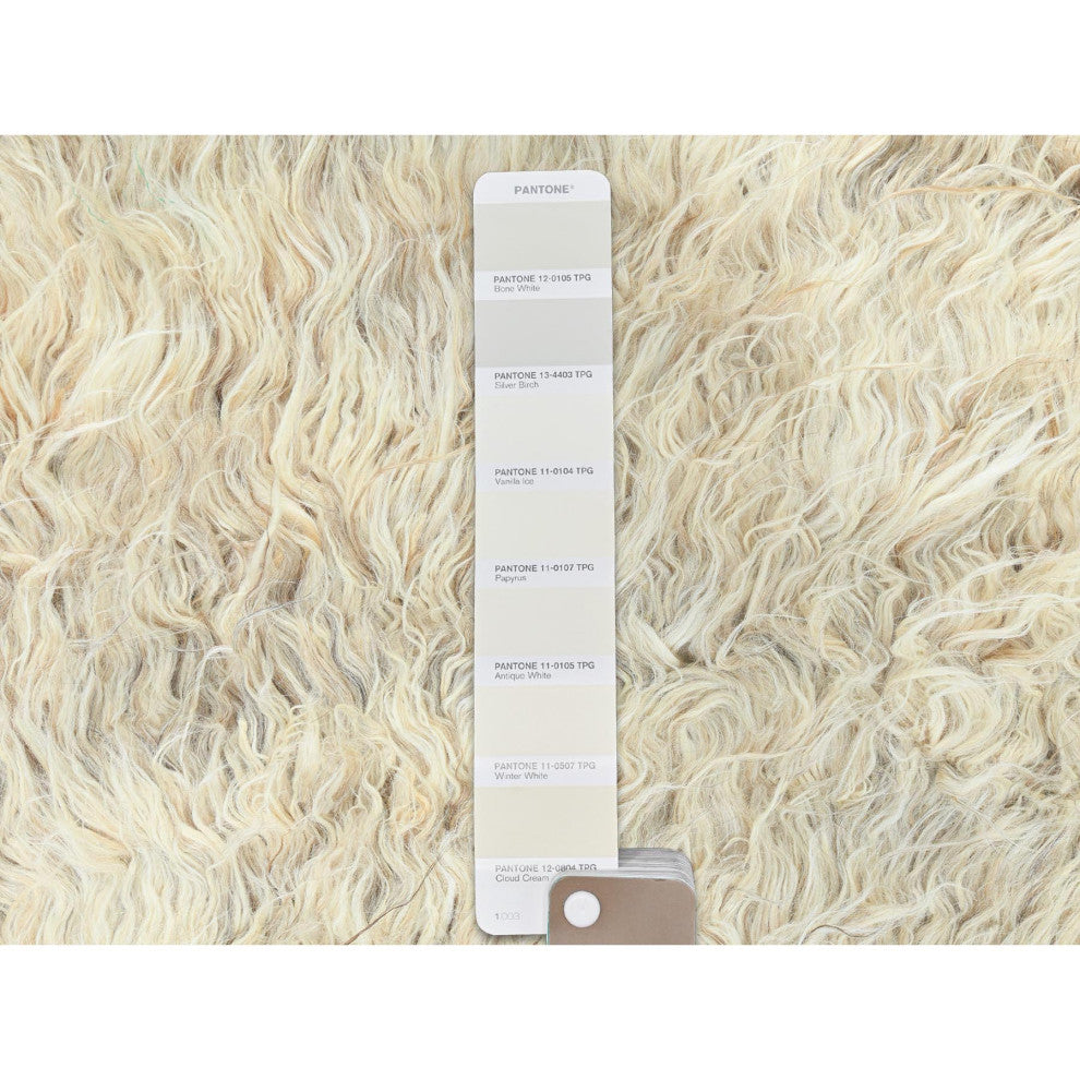 Beige, Shaggy Moroccan, Undyed Natural Wool Hand Knotted Rug, 3'1"x5'3"