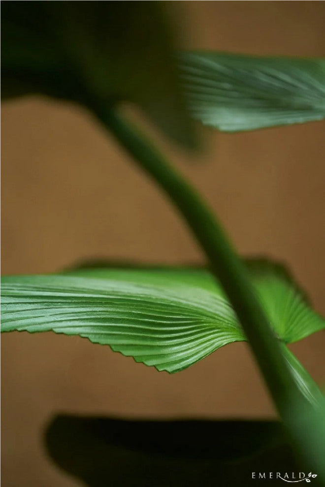 Faux Fan Palm Deco | Emerald Licuala
