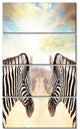 Zebras Face To Face At Sunset, African Canvas Art Print, 28"x48", 4 Panels
