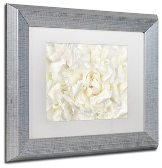 Cora Niele 'White Peony Flower' Matted Framed Art