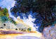 John Singer Sargent Landscape Olive Trees Corfu Wall Decal