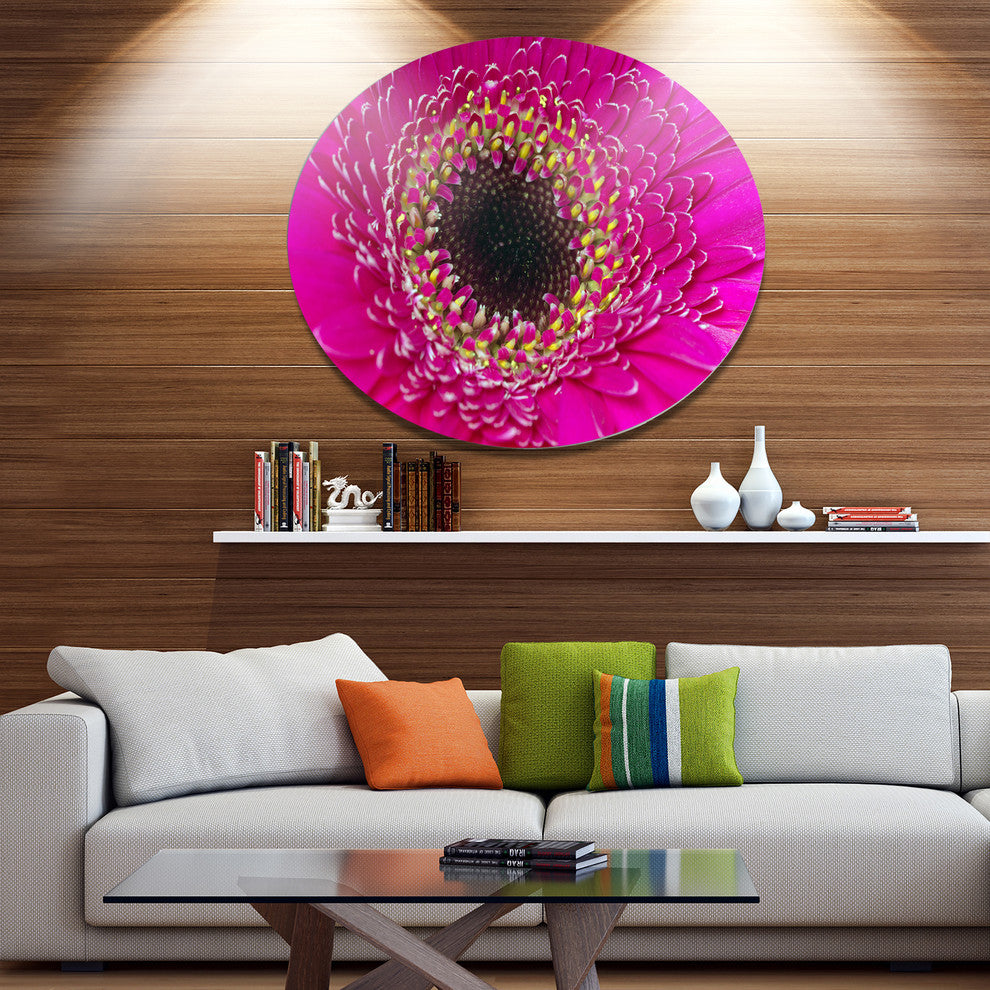 Center Of Gerbera Flower Close-Up, Flowers Disc Metal Artwork, 23"