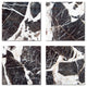 6"x6" Upscale Designs Custom Glass Wall Tile, Set of 32